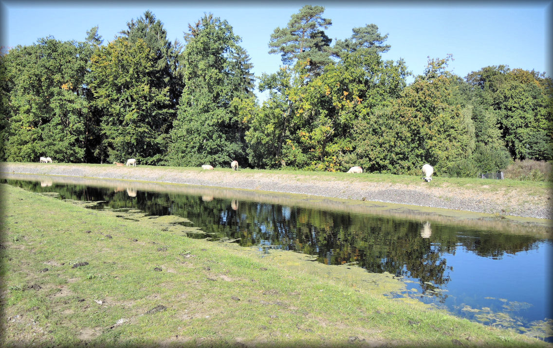 Schaalseekanal
